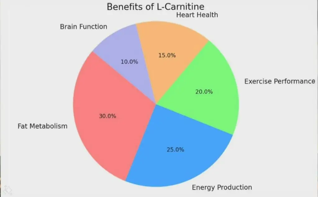 How L-Carnitine Works? L-Carnitine