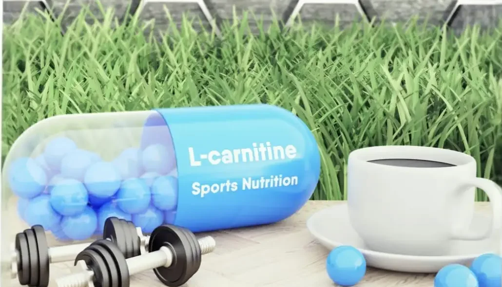 How L-Carnitine Works? L-carnitine
