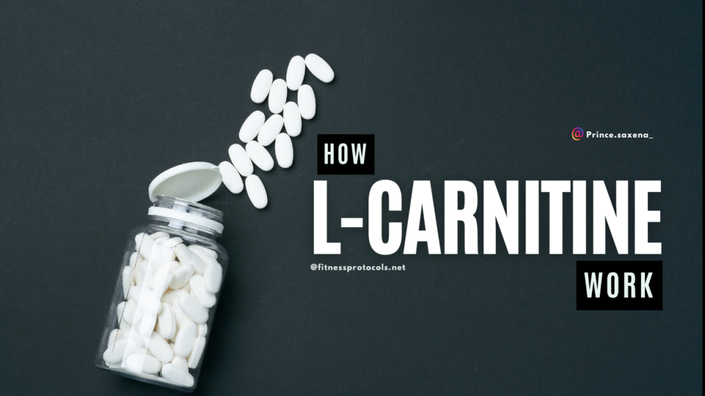 L-Carnitine