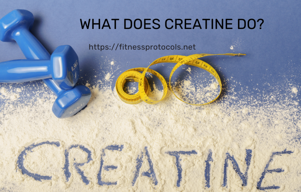 what does creatine do?