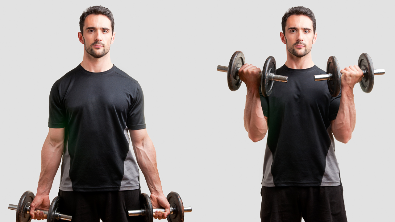 Top 5 Biceps Exercises for Beginners 5 biceps exercises