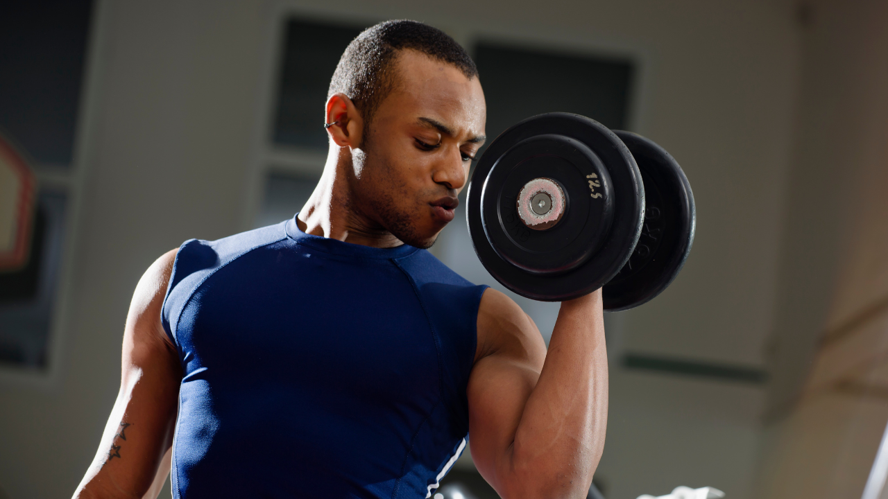 Top 5 Biceps Exercises for Beginners 5 Biceps Exercises for Beginners at the Gym