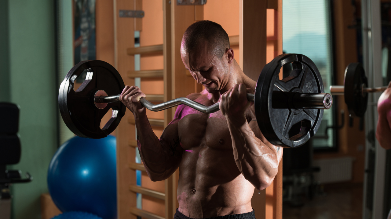 Top 5 Biceps Exercises for Beginners for Beginners: Barbell biceps curls